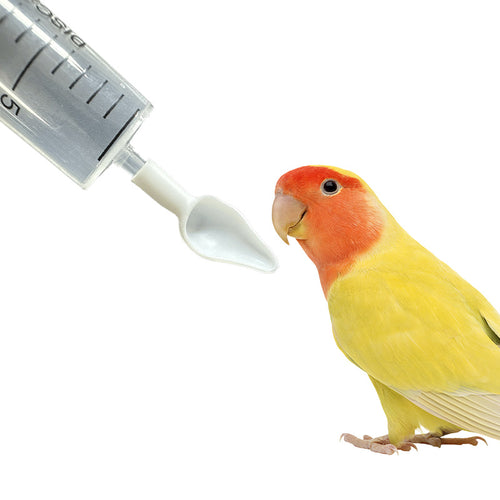 Bird Feeding Syringe