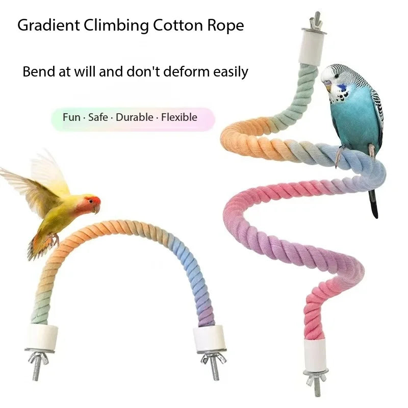 Rainbow Bird Climb & Swing Perch