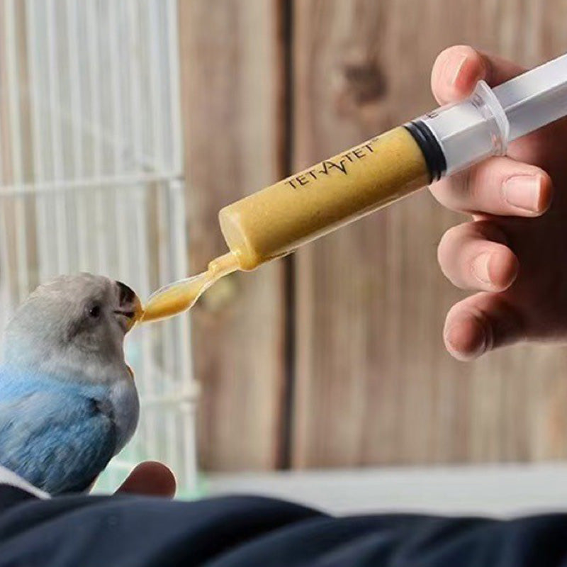 Bird Feeding Syringe