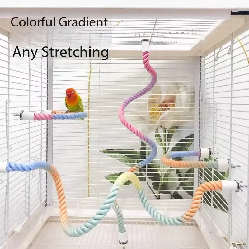 Rainbow Bird Climb & Swing Perch