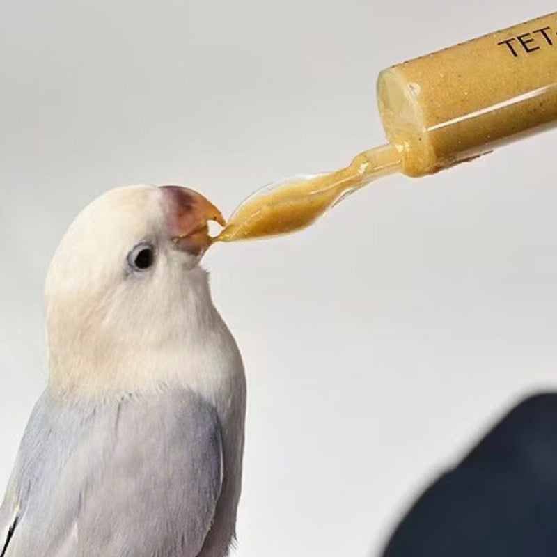 Bird Feeding Syringe
