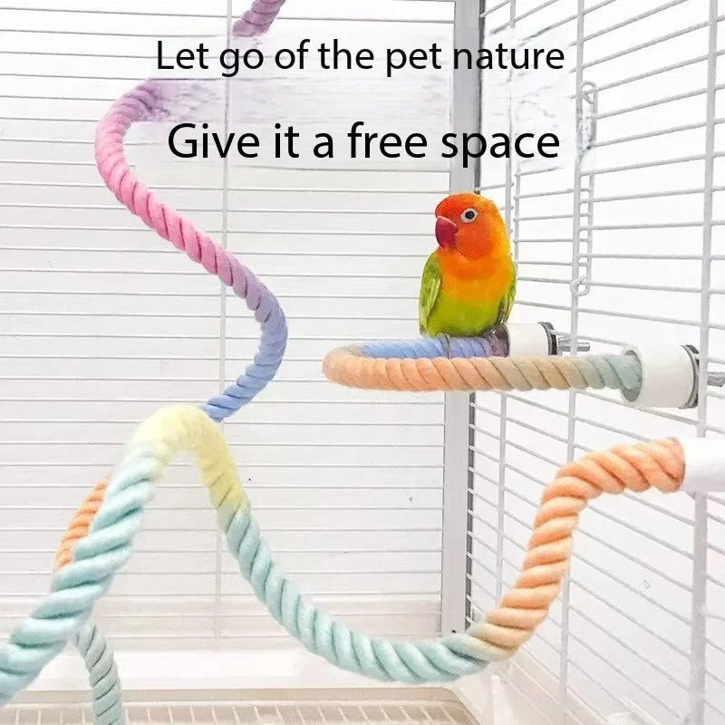 Rainbow Bird Climb & Swing Perch
