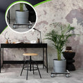 Caddy with Heavy Duty Wheel Plant Stand